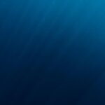 Illustration du profil de Crewsylife