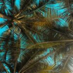 Illustration du profil de Pauline